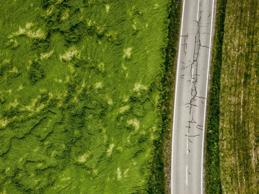 Roads Aerial View Greens Grass Asphalt Background