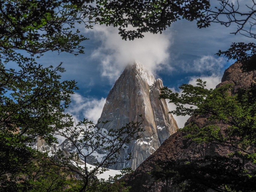 rock, cliff, steep, high, cloud, branches, trees