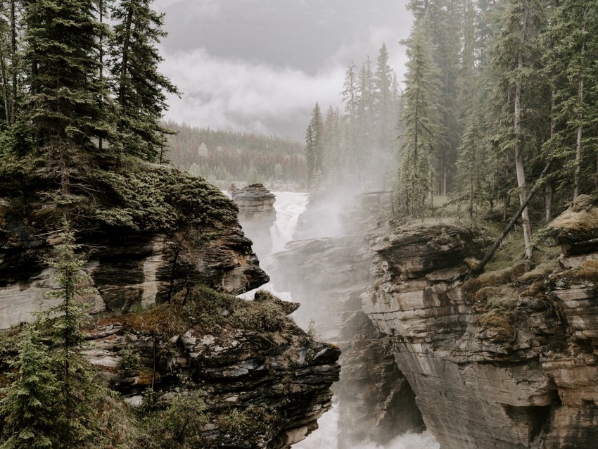 rocks, river, fog, trees, cliffs