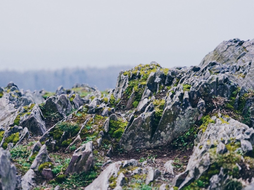 Rocky Uneven Rugged Stones Moss Rock Background