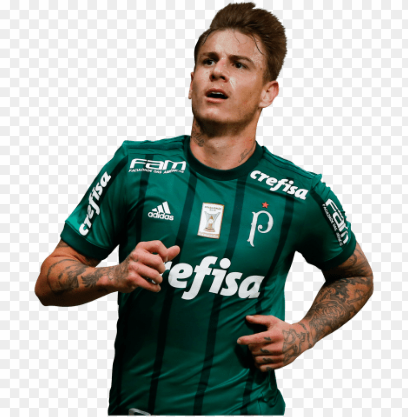 roger guedes, brazil, palmeiras, roger guedes, fifa ,football ,sport