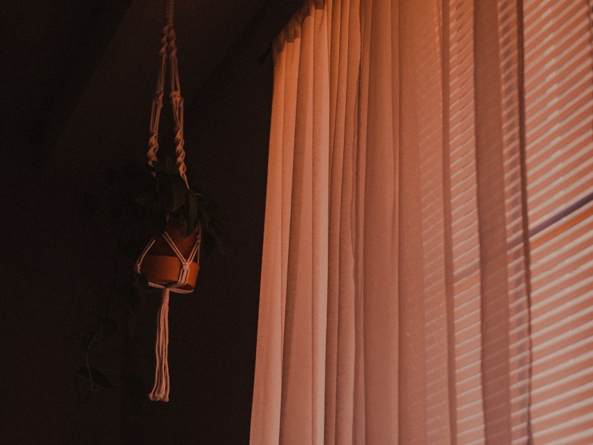 room, dark, interior, window, curtain, flower