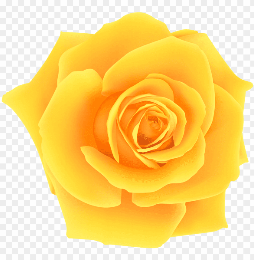 yellow rose, yellow tape, yellow, yellow light, yellow ribbon, yellow butterfly