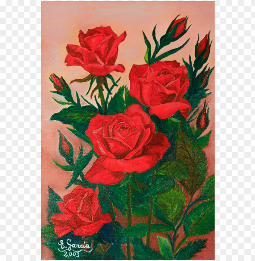 rosas rojas, rosas