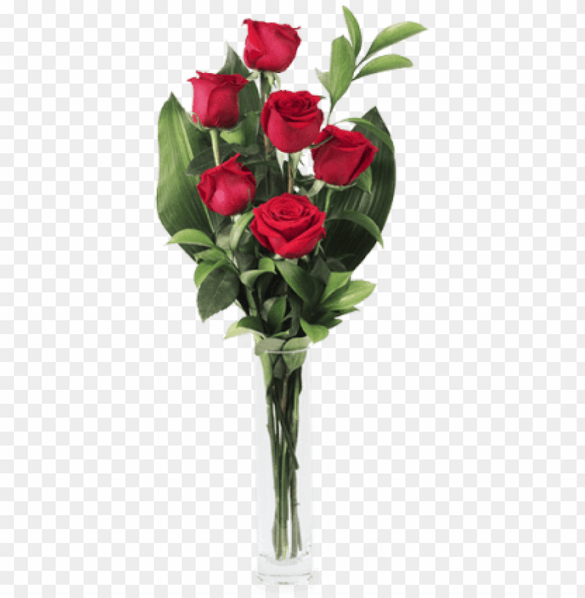 rosas rojas, rosas, iphone 6 transparent