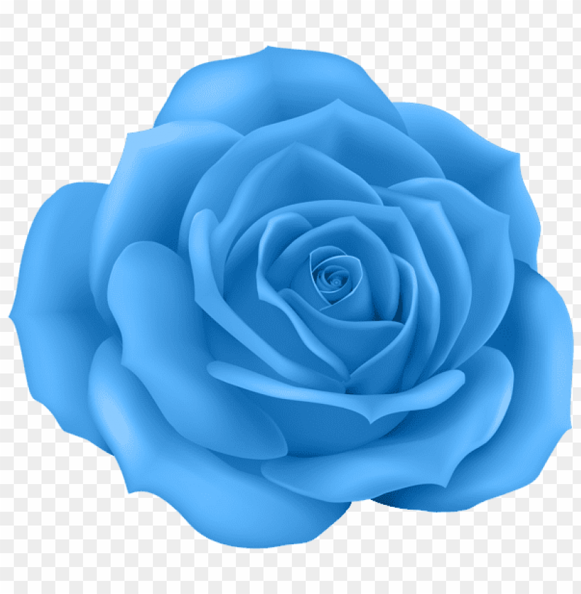 rose blue