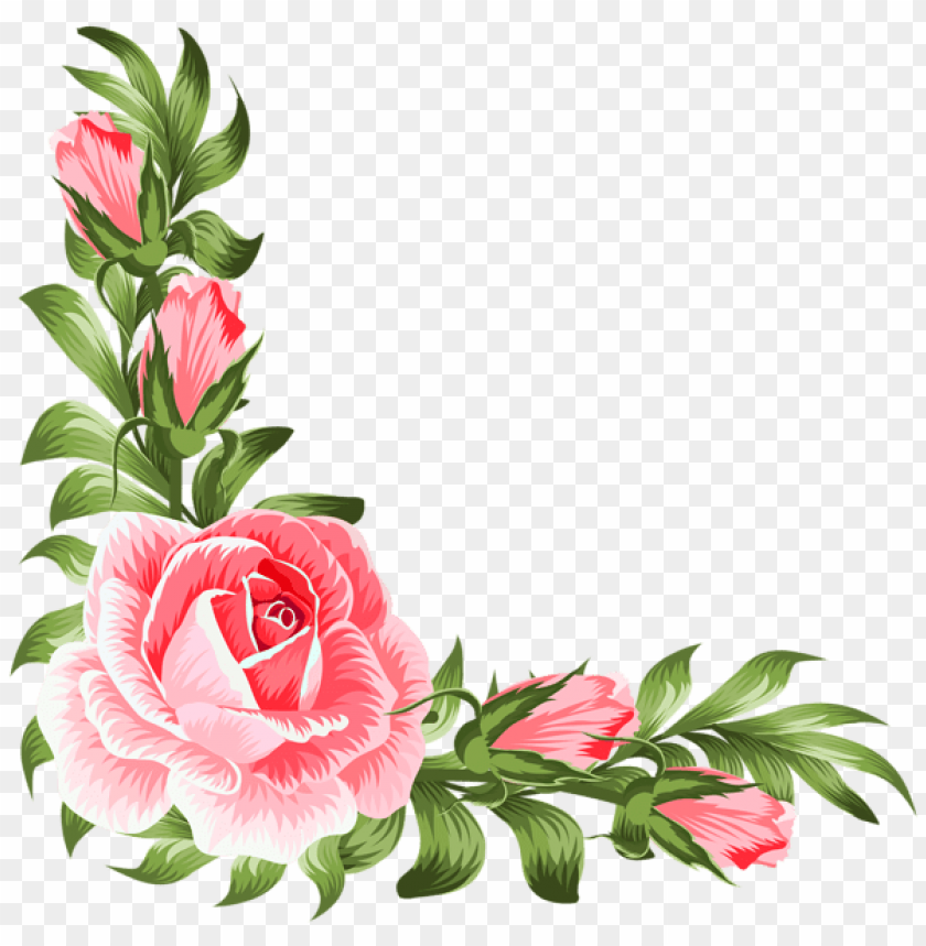 rose corner decoration png