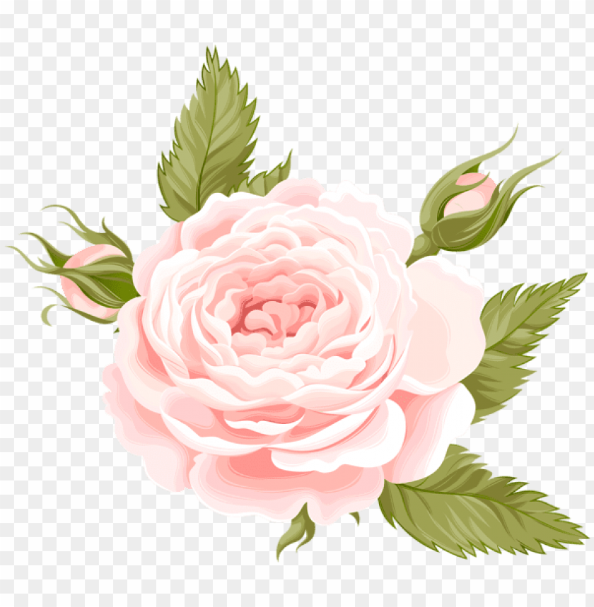 rose deco