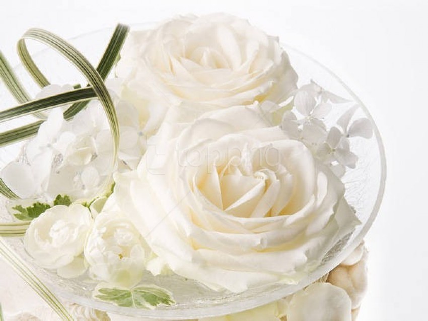 white roses, floral arrangement, wedding flowers, decorative plants, natural beauty, elegant blooms, fresh flowers