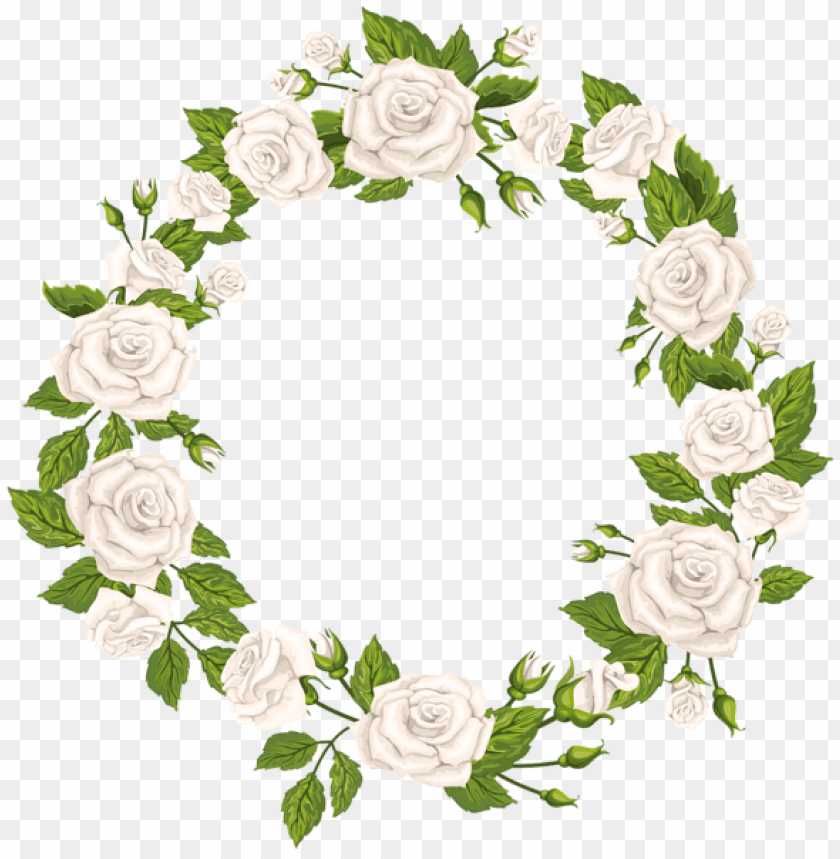 roses border white png