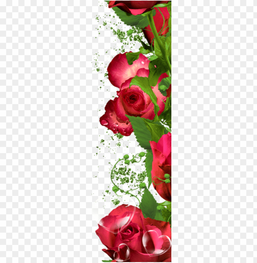 roses decorationpicture