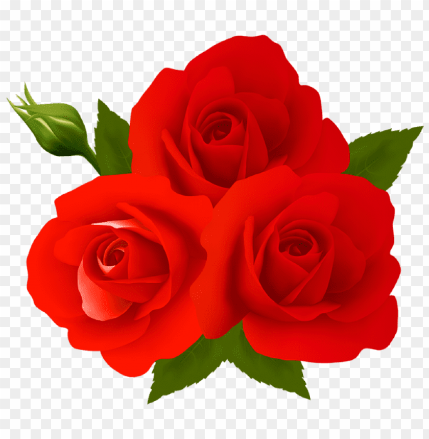 roses png