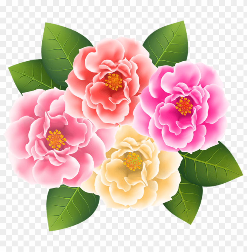 roses png