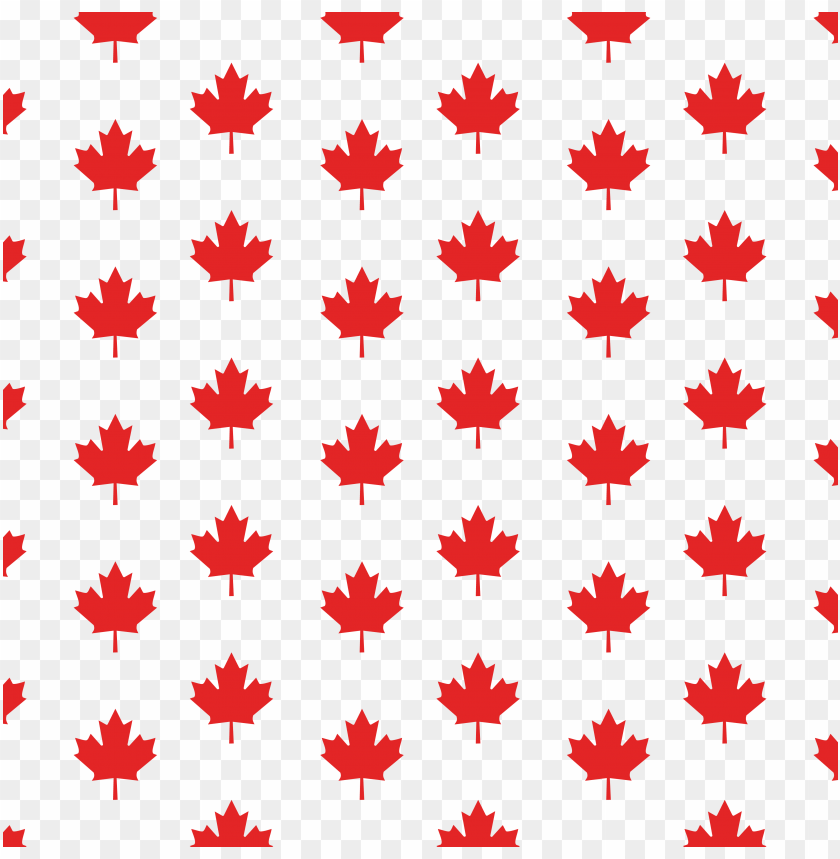 royal, texture, canada, abstract, flower, floral pattern, flag