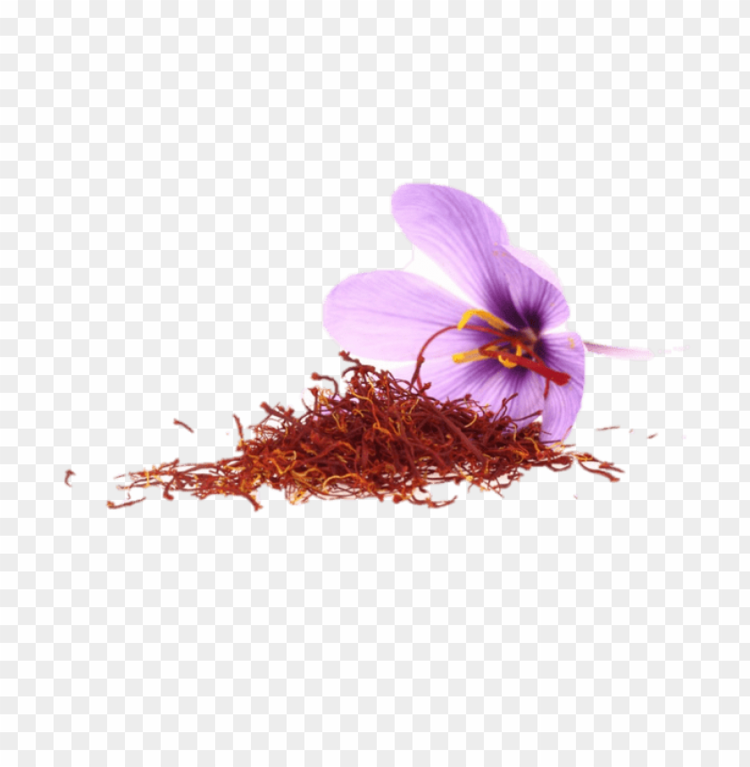 saffron png, download saffron png, زعفران png, صور saffron