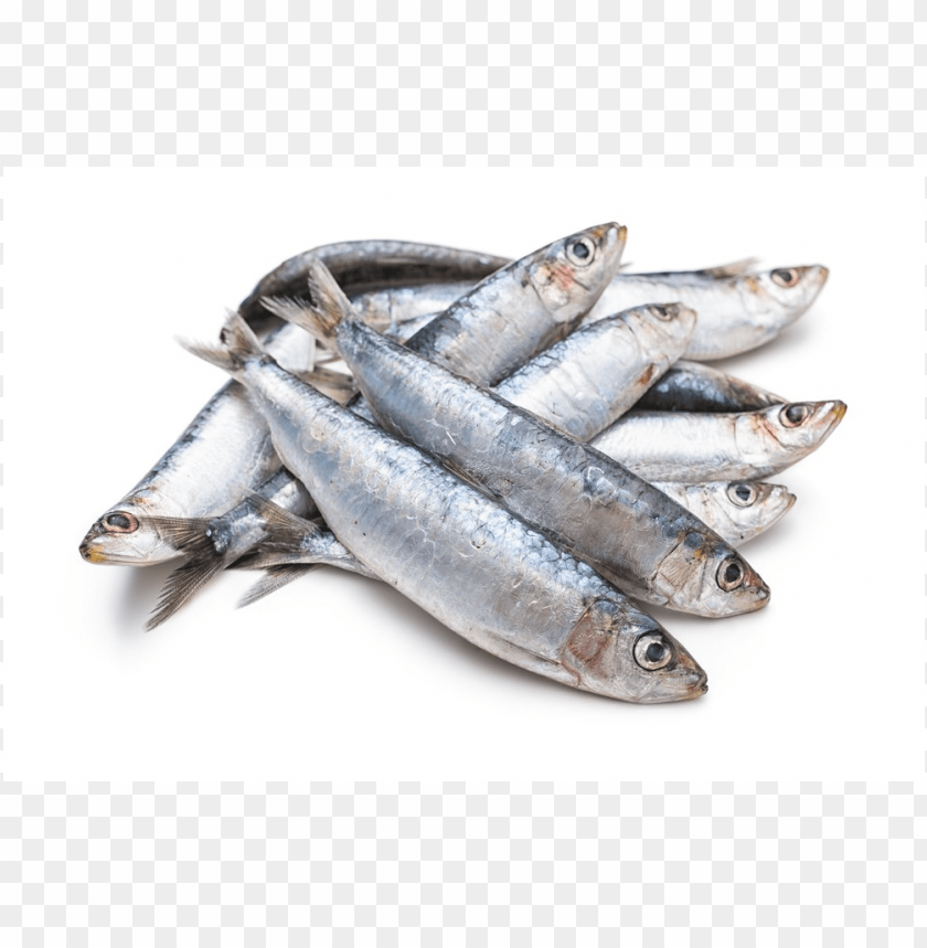 sardines, fish, seafood, silver fish, healthy snacks, high protein food, omega-3 rich