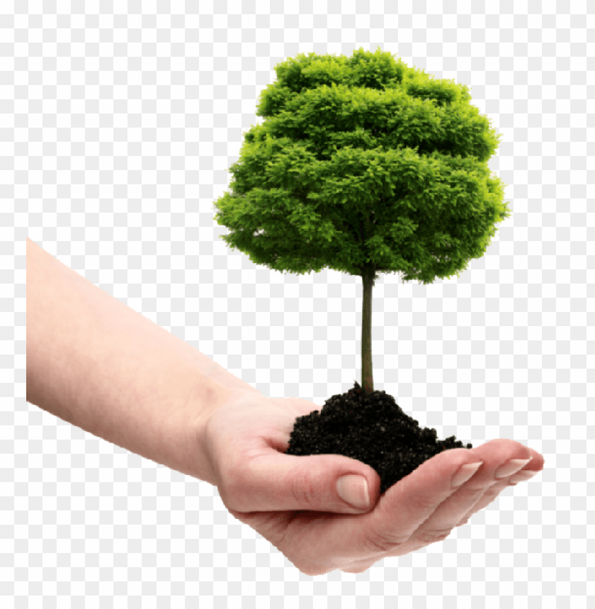 save tree,nature, tree, green,اشجار,شجر,زرع