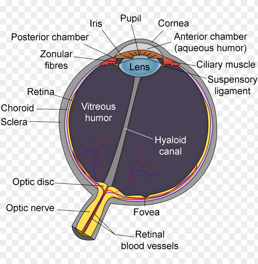 eye clipart, eye glasses, eye patch, illuminati eye, eye ball, bulls eye