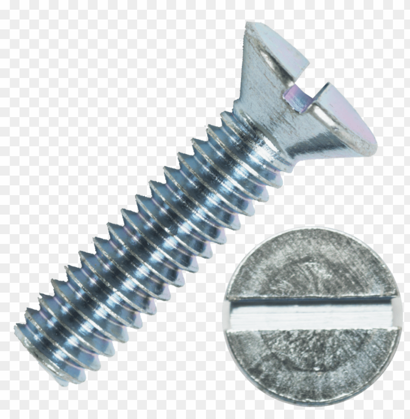 Close-up of a chrome slot head screw with a detailed view of its head