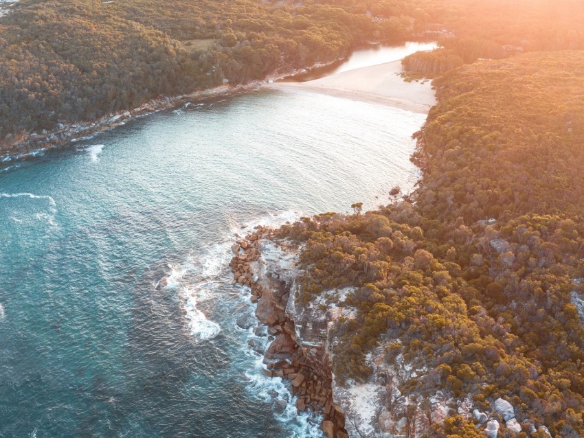 sea, aerial view, trees, bay, sunlight