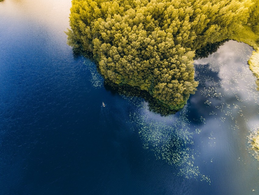 sea, boat, aerial view, trees, lithuania