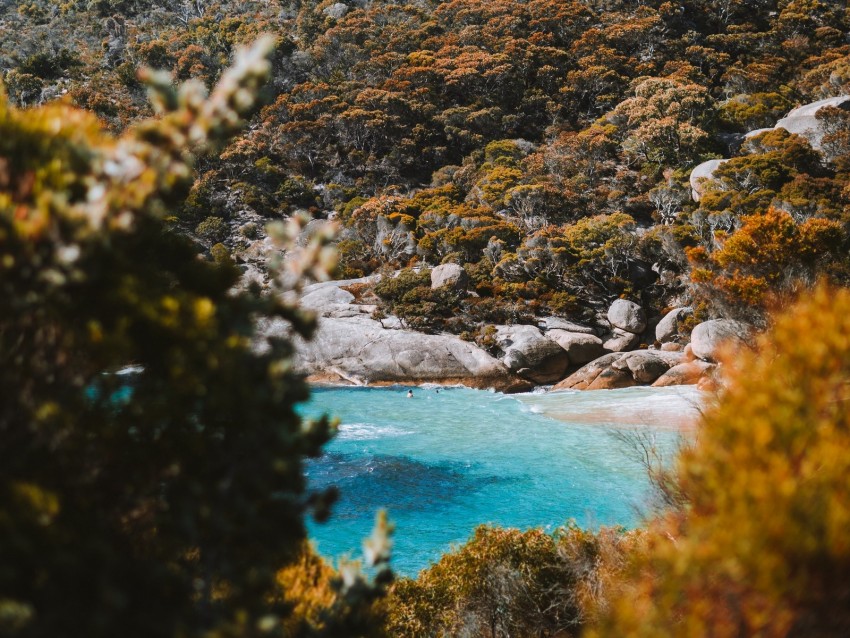 sea, coast, hill, stones, bushes