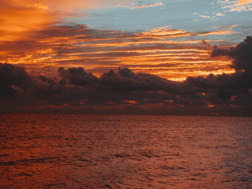 Sea Horizon Clouds Sunset Sky Ripples Waves Background