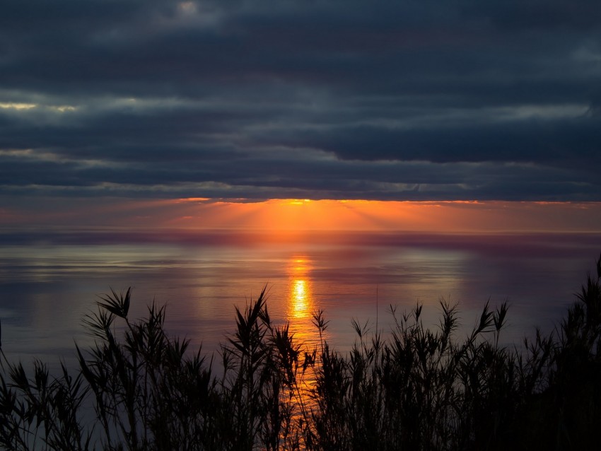 Sea Horizon Sunset Clouds Grass Twilight Background