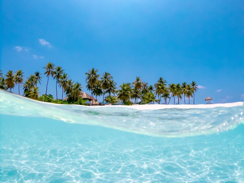 sea, palm trees, sun, beach, wave, water, blue