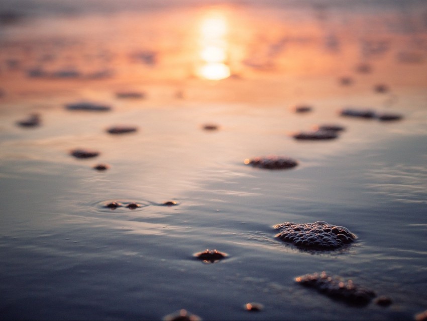 sea, sunset, foam, macro, blur