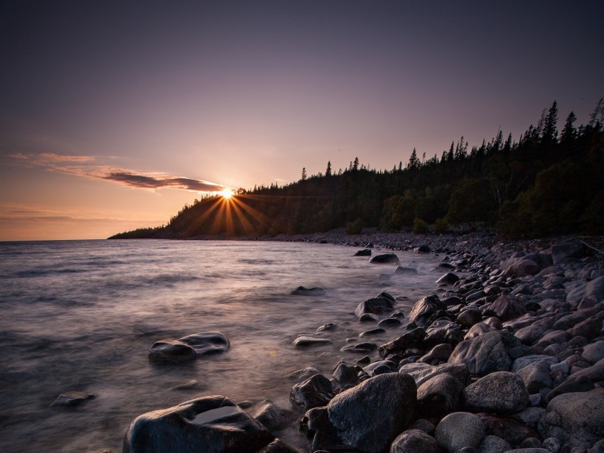 Sea Sunset Stones Shore Trees Background