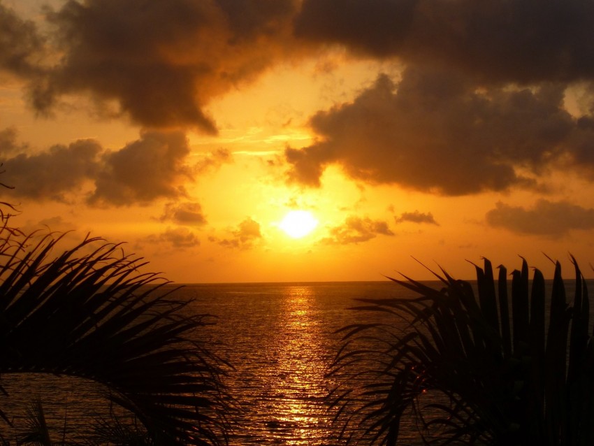 Sea Sunset Twilight Sun Reflection Leaves Clouds Background