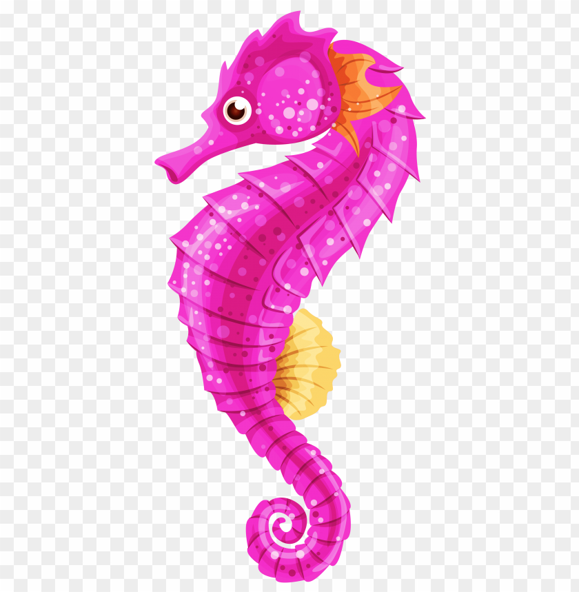 seahorse