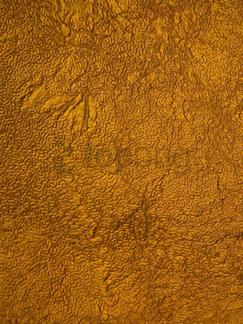 seamless gold texture, texture,gold,seamless