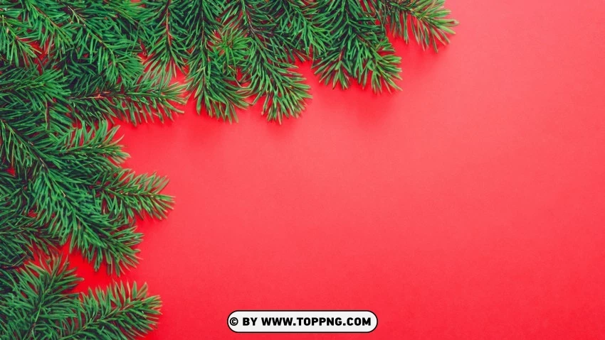 Seasonal Christmas Red Green Pine Branches PNG Transparent Background