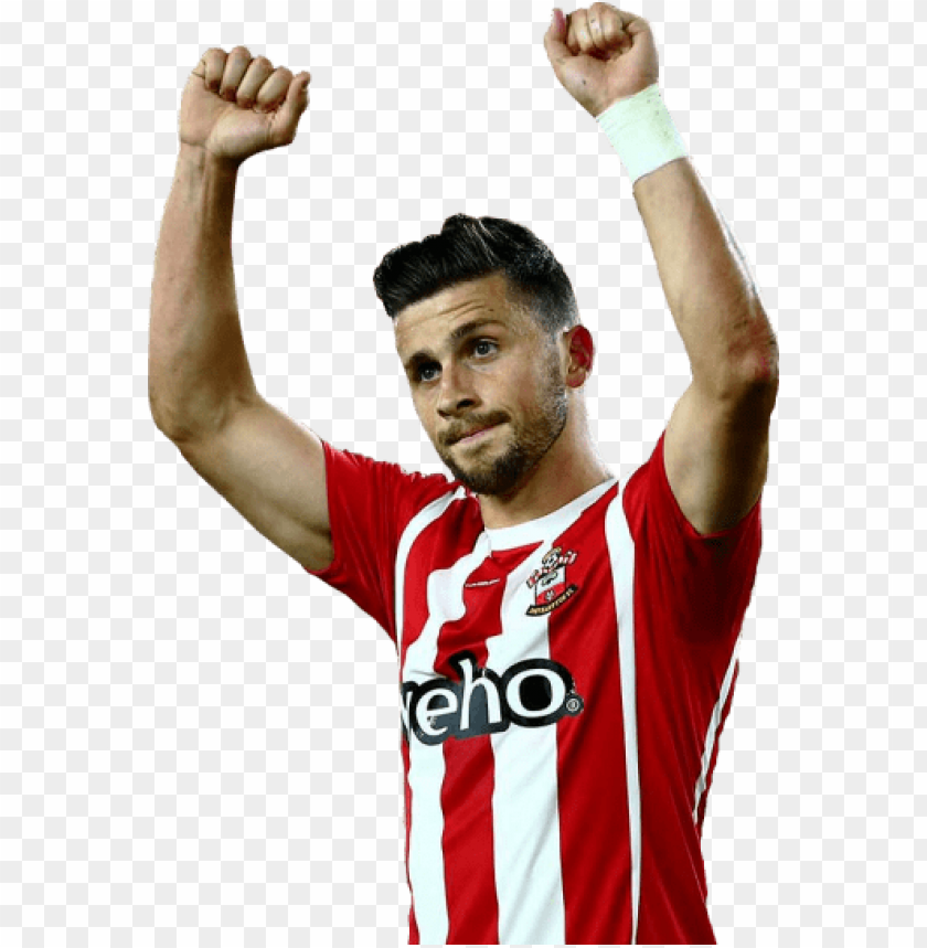 shane long, southampton ,england ,fifa ,football ,sport