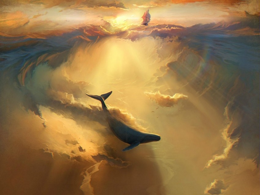 shark, dolphin, sea, art, underwater world