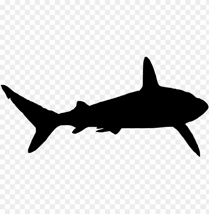 silhouette png,silhouette png image,silhouette png file,silhouette transparent background,silhouette images png,silhouette images clip art,shark