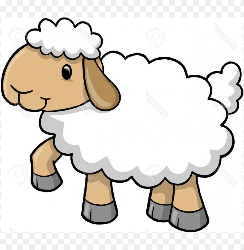 sheep clipart, clipart,sheep