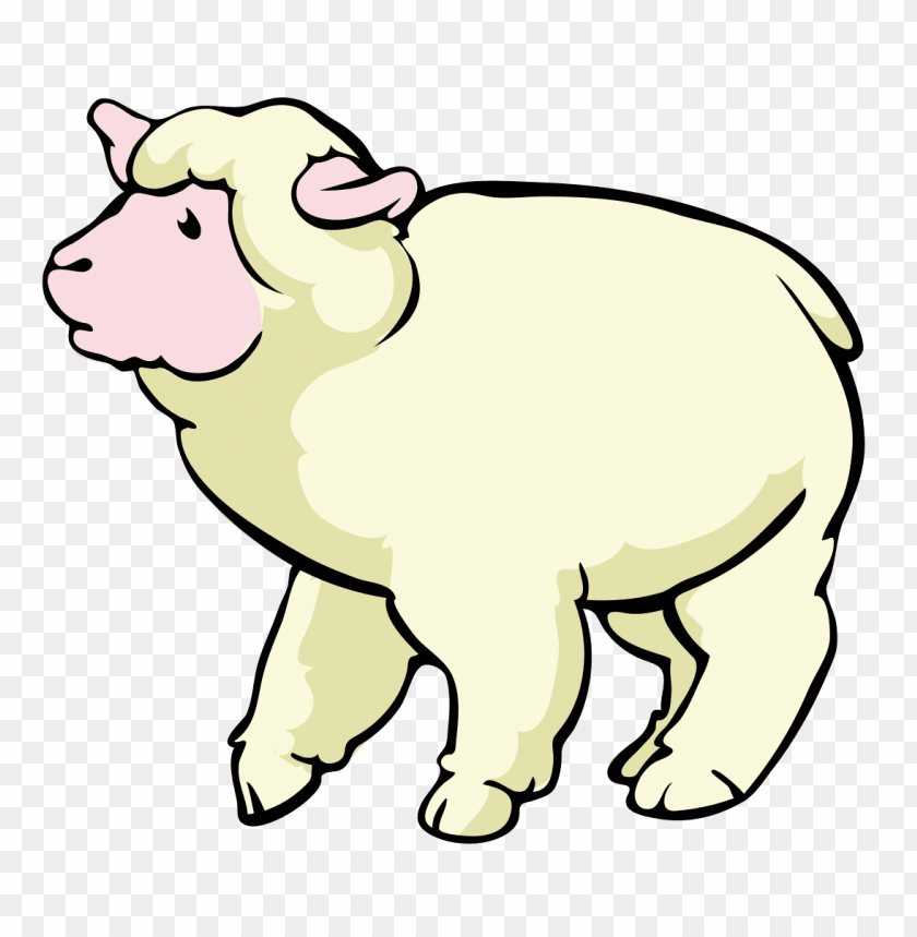 sheep png images, sheep,images,image,imag,png