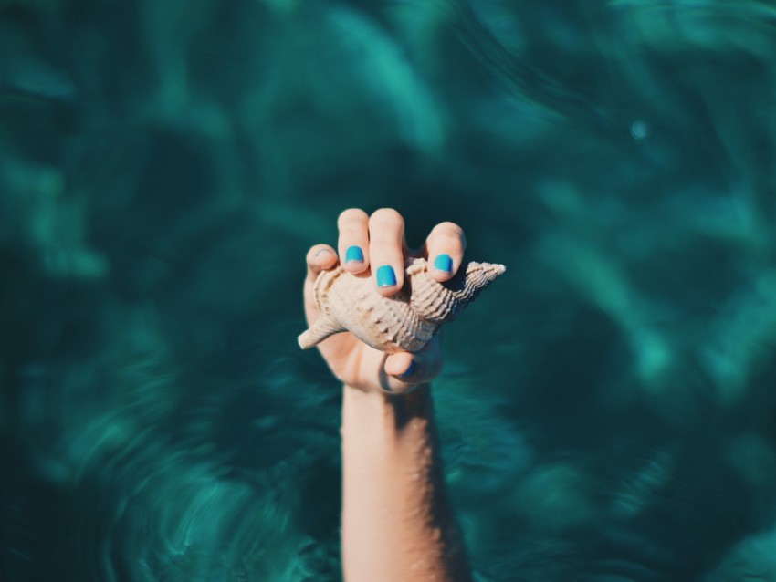 shell, hand, water, fingers