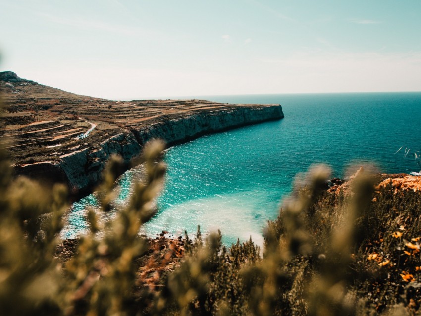 shore, sea, cliff, stone, water, plants