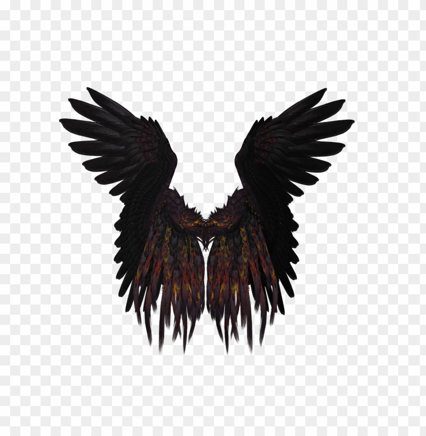 comics and fantasy, wings, short black and purple wings, 