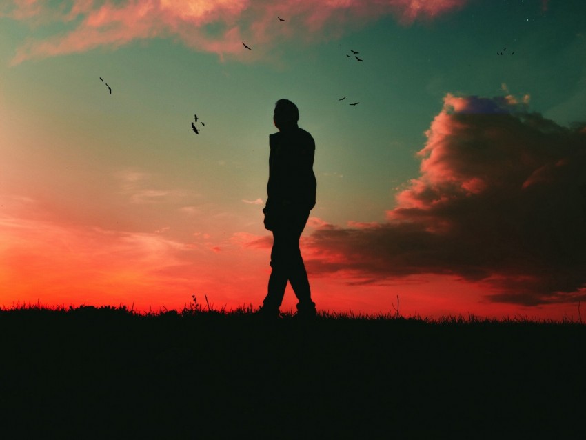 silhouette, dark, twilight, sky, clouds, birds