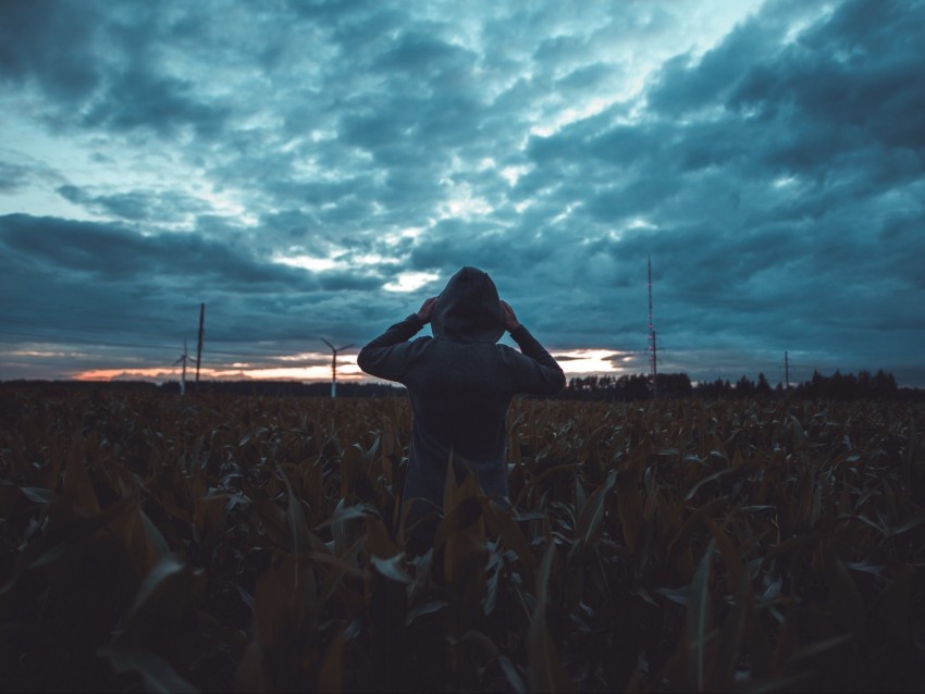 silhouette, field, dark, twilight, evening