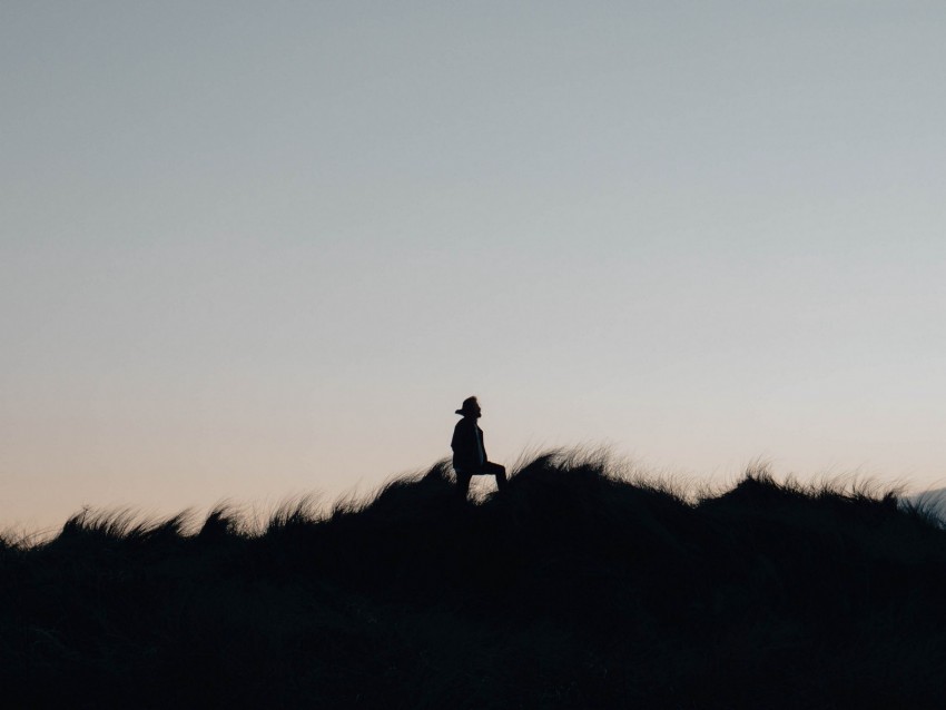 silhouette, field, night, sky, lonely