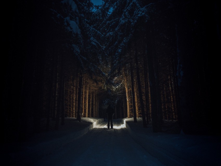 Silhouette Forest Road Snow Trees Background