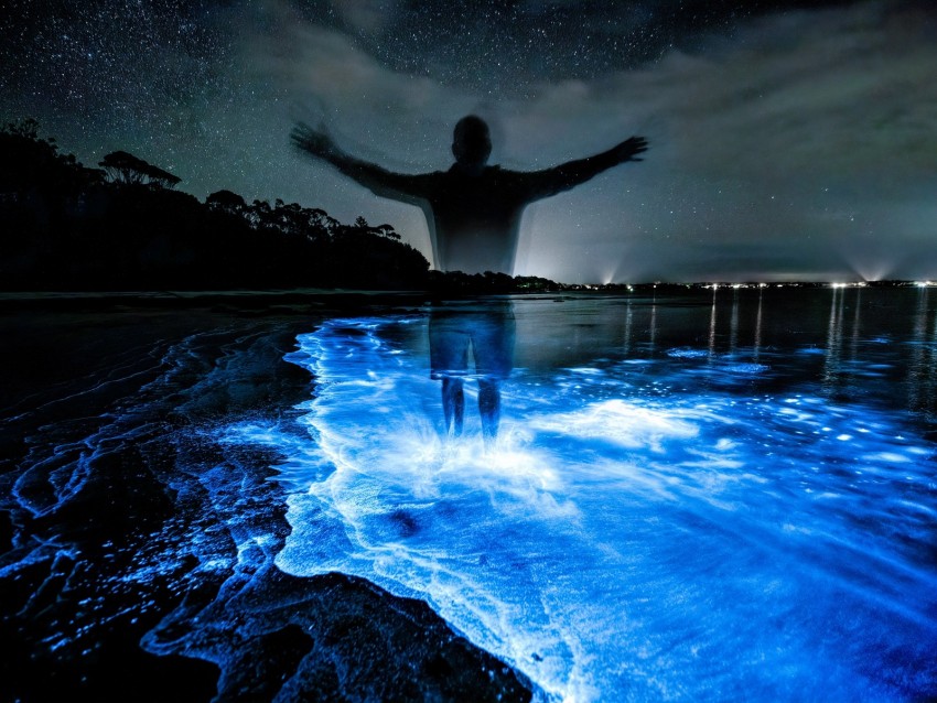 silhouette, night, water, luminescence, glow