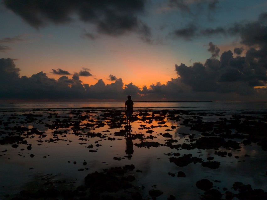 silhouette, ocean, sunset, horizon, clouds