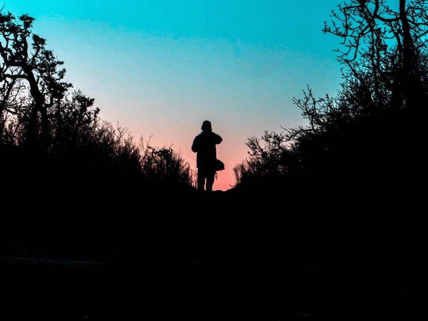 Silhouette Outlines Dark Twilight Bushes Trail Background